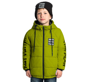 Скопирован_1x