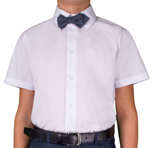 Загружен сначала в Репорт.
Потом перегружен в УТ11.1.
А потом и в УТ11.4.